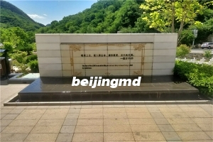 门头沟万佛园华侨陵园周六日有班车吗