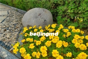 华龙皇家陵园价格多少,位于哪里