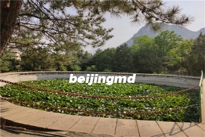 三河灵山宝塔陵园地址在哪儿