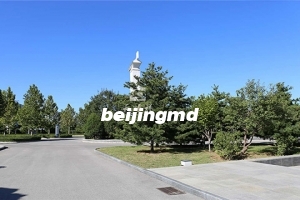 北京丰台区思亲园墓地的地址在哪？坐公交车能直达吗？