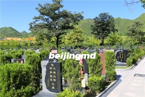北京市朝阳区几个陵园,价格方面如何