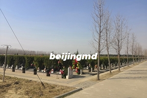 昌平兴寿有哪些墓地