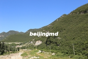 九里山公墓在哪里预约电话是多少？