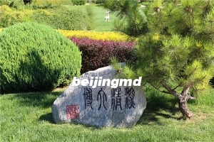 丰台区王佐镇墓地叫什么？墓地价格是多少？