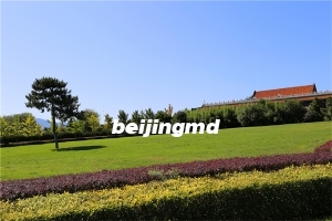 廊坊万桐园墓地价格