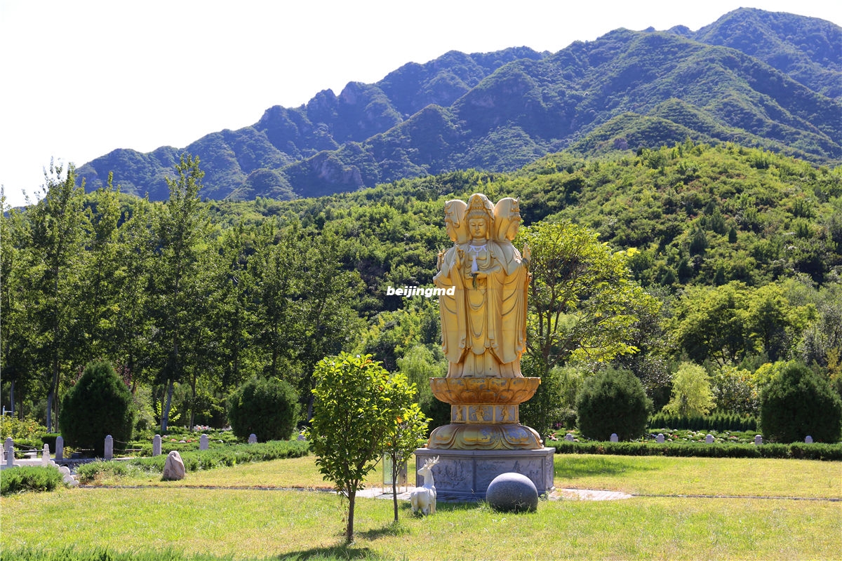 凤凰山陵园VS天寿陵园对比哪个好 凤凰山陵园VS天寿陵园对比哪个好