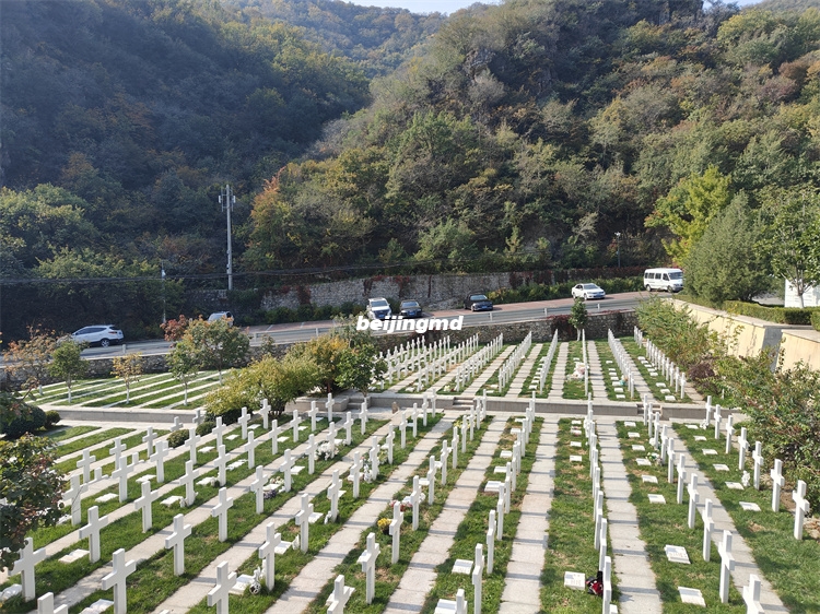 九公山长城纪念林